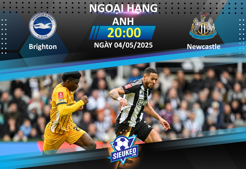 Soi kèo bóng đá Brighton vs Newcastle 20h00 ngày 04/05/2025: Kẻ ngáng đường